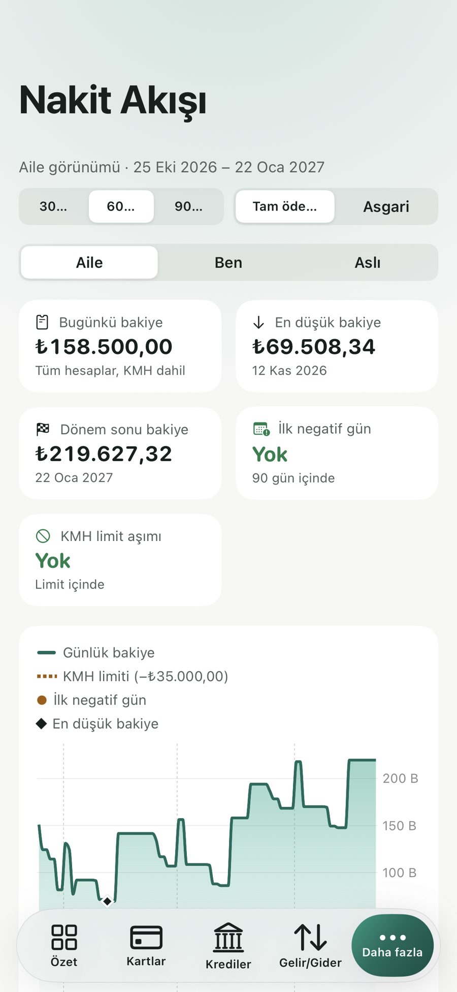 Nakit akışı ekranı