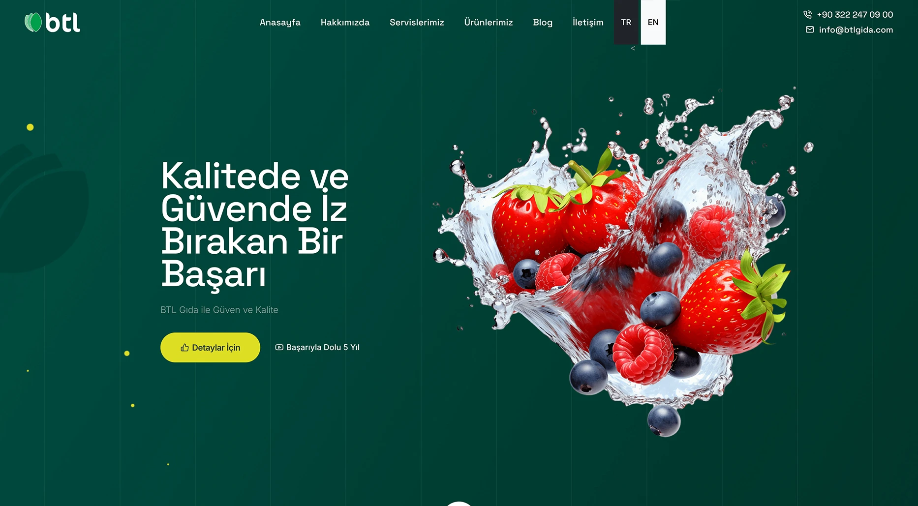 BTL Gıda Kurumsal Web Sitesi