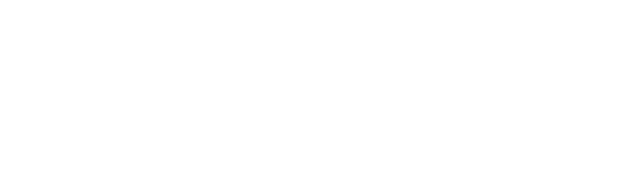 AyPet Veteriner Ürünleri